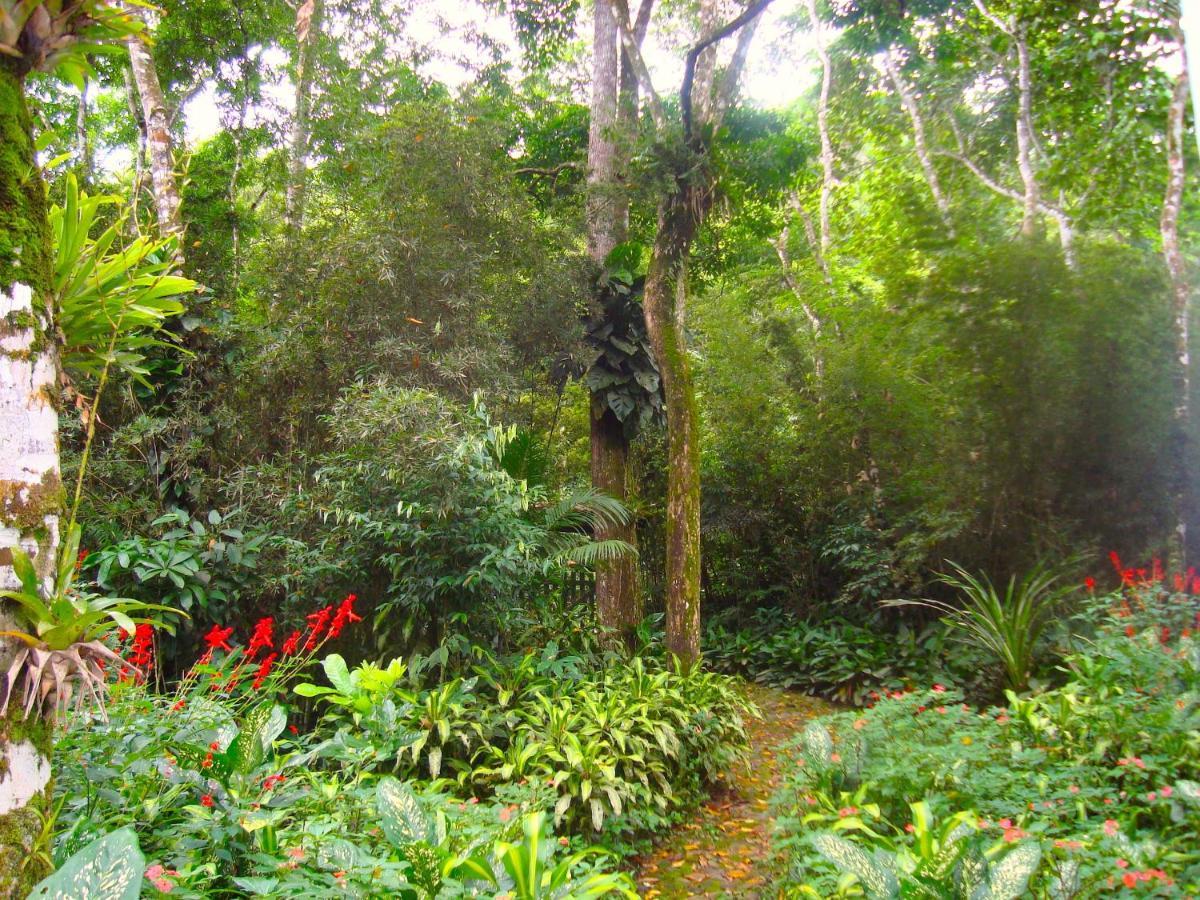 Eco-Flats Cachoeira Azul Araquari Exterior foto